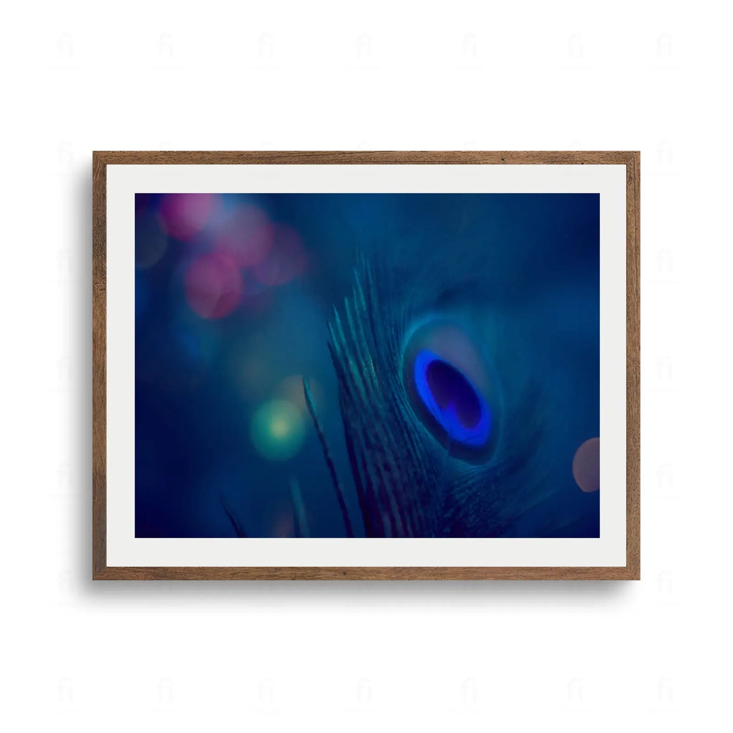 rtystyczne, rozmyte zdjęcie makro pawiego pióra w głębokich odcieniach granatu i błękitu z efektem świetlnego bokeh.