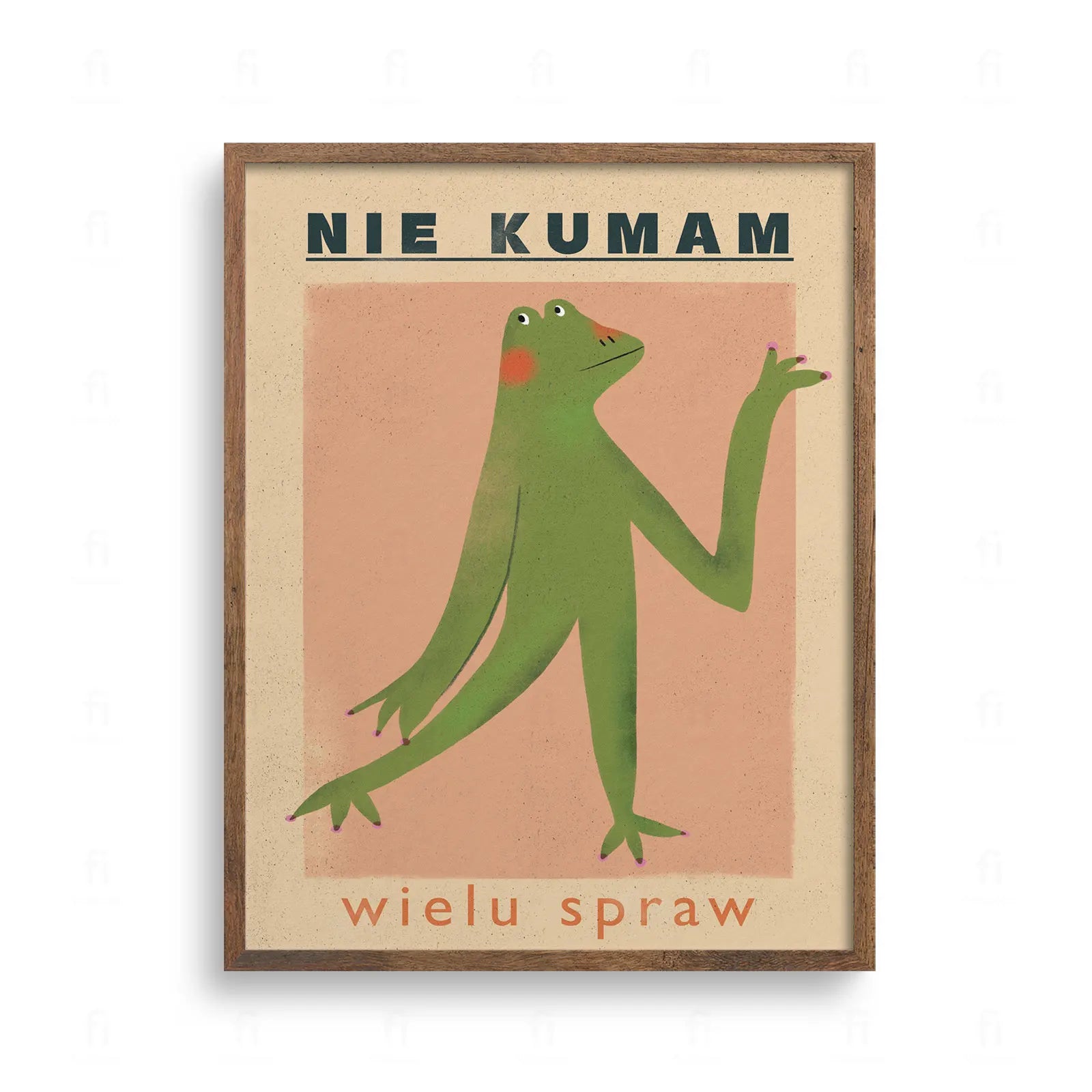 Śmieszny plakat z żabą i napisem Nie kumam wielu spraw. Ilustracja w stylu retro, zielona żaba na różowym tle.