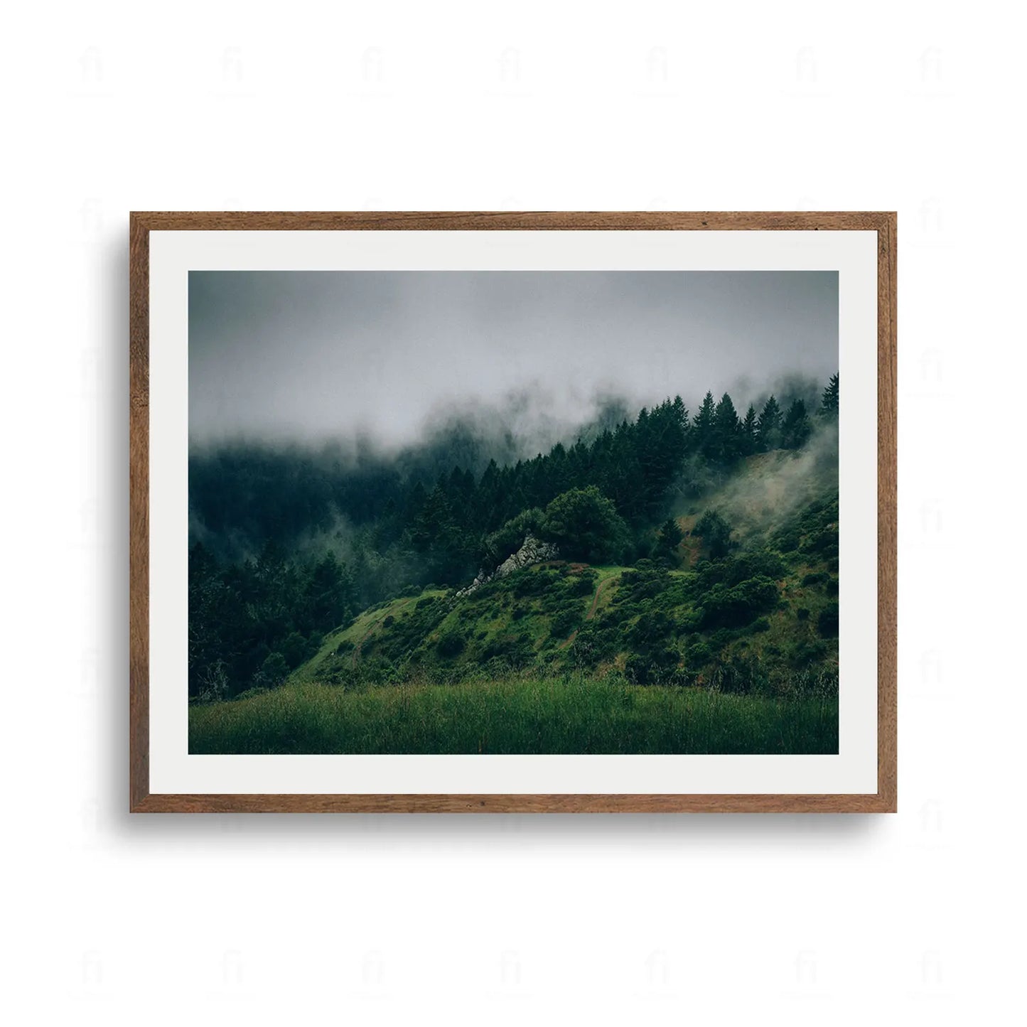 Mroczny, mglisty las iglasty rosnący na zboczu zielonego wzgórza, ciężkie chmury i mgła unosząca się nad drzewami.