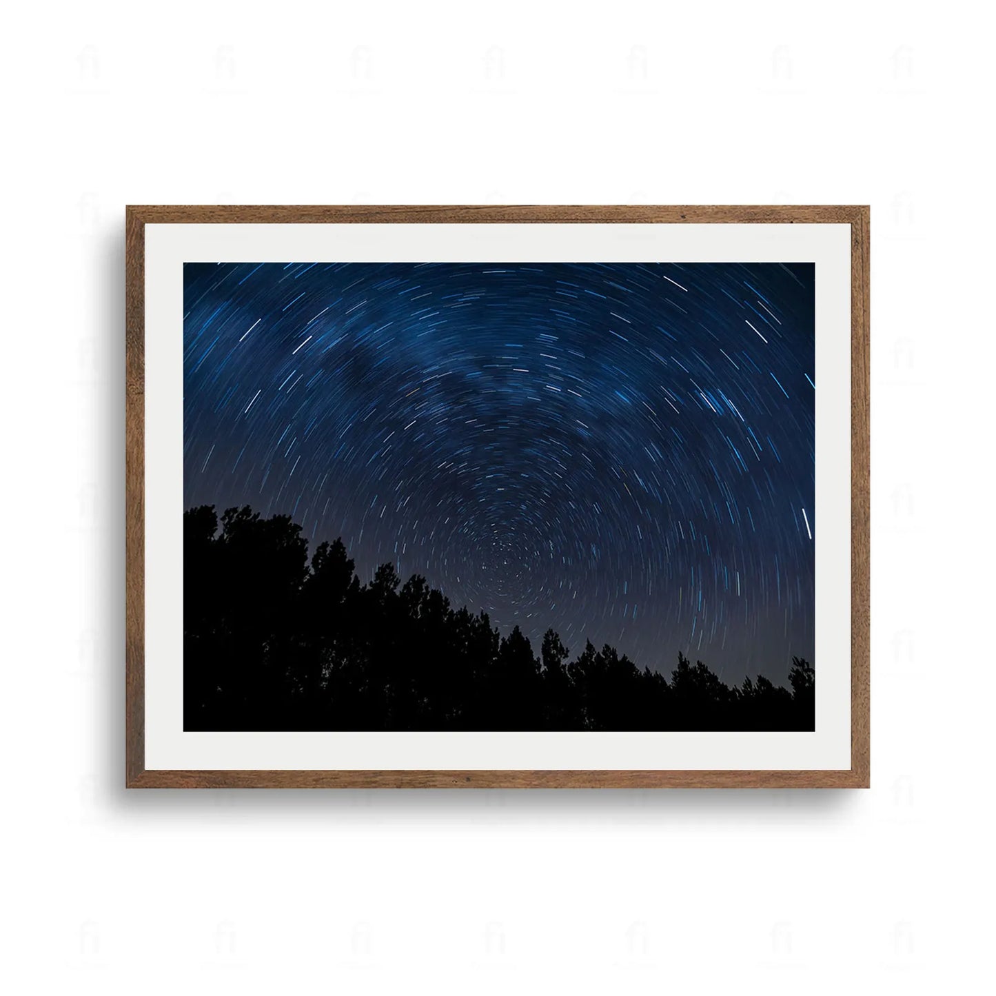 Nocne niebo z długim czasem naświetlania tworzące efekt wirujących gwiazd nad ciemną sylwetką lasu iglastego.