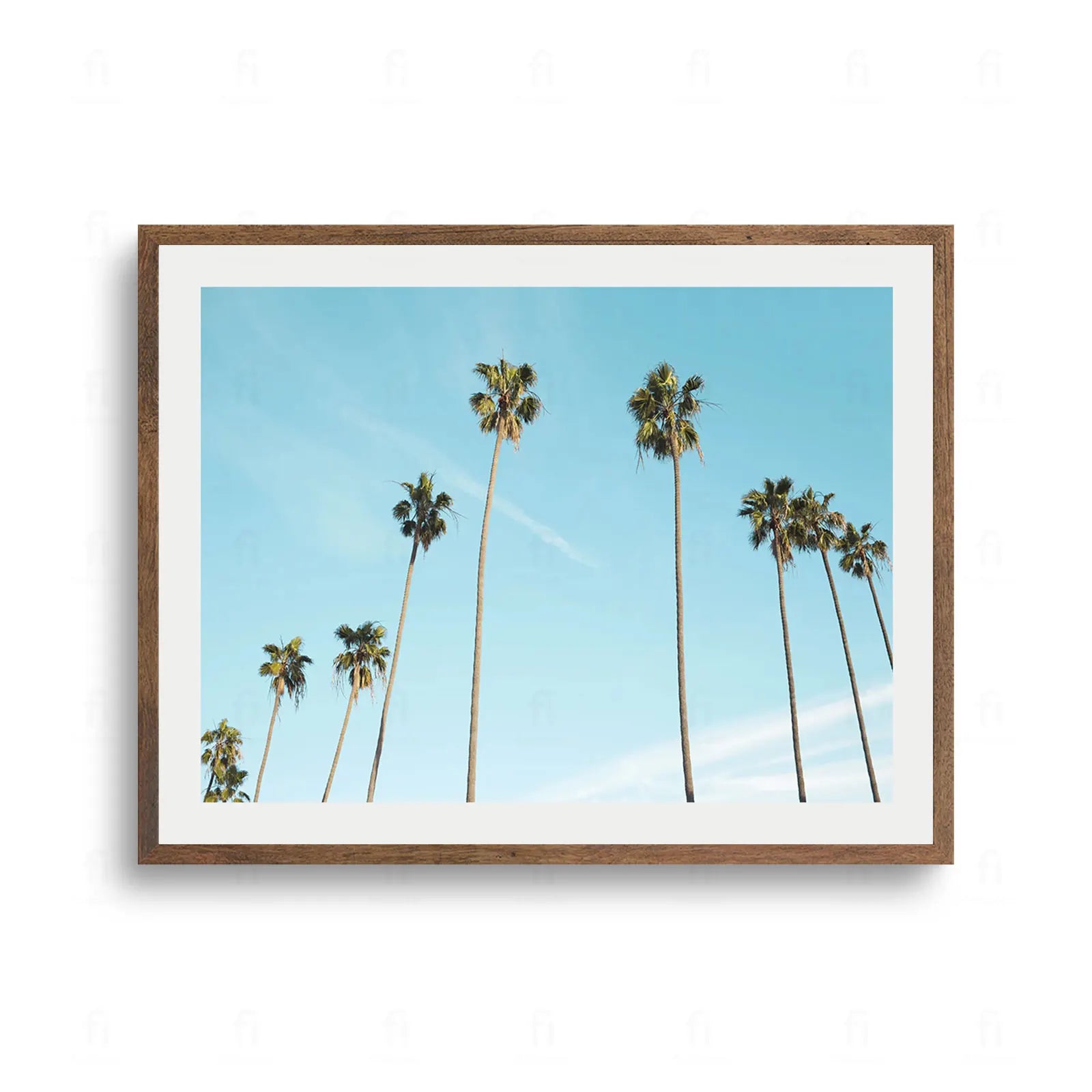 Rząd wysokich, smukłych palm na tle czystego, błękitnego nieba. Letni krajobraz.