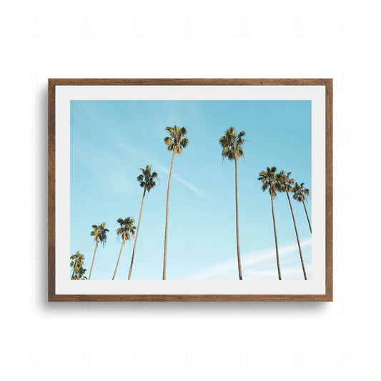 Rząd wysokich, smukłych palm na tle czystego, błękitnego nieba. Letni krajobraz.